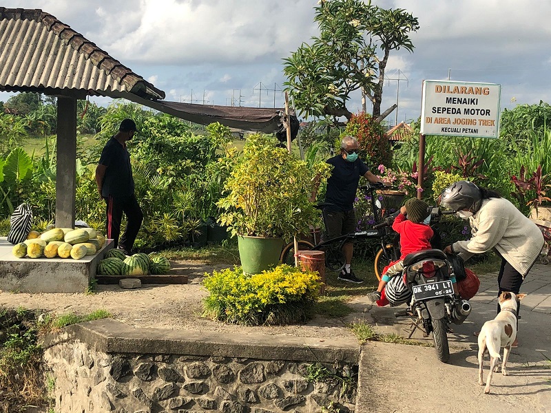 Wisata Petik Semangka di Jogging Track Perapat Beris.