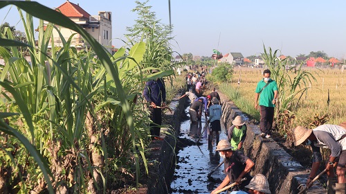 Padat Karya Tunai Desa Sanur Kauh